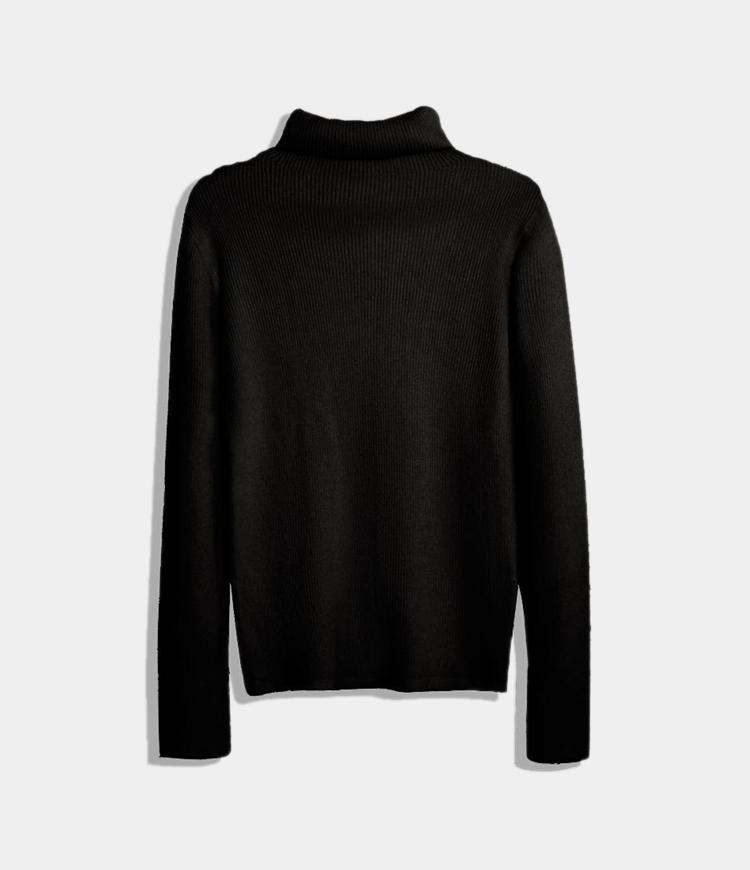 Solid Color Turtleneck Sweater