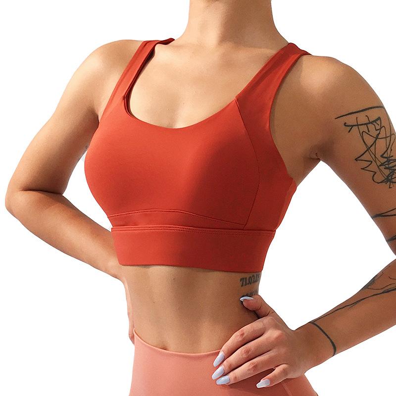 Tight Pure Colour High Impact Sports Bra