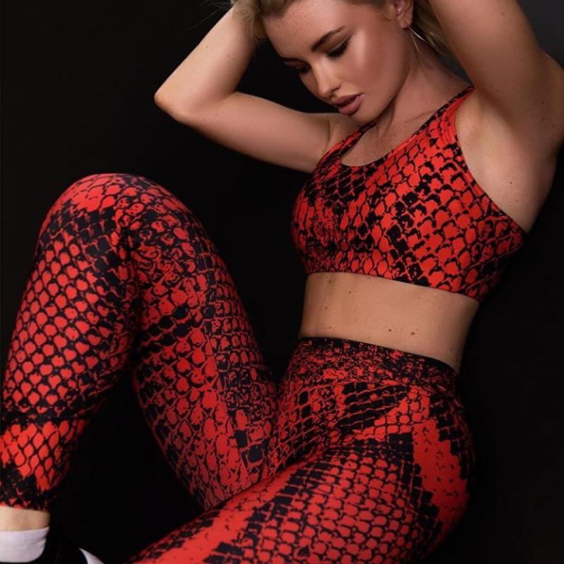 Printed Sexy Shockproof Yoga Suit