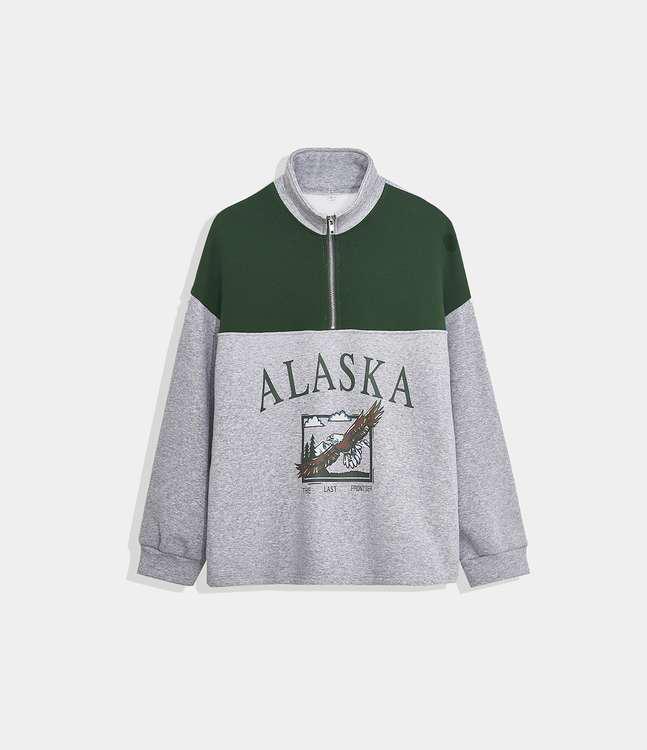 Half Zip Location Print Pullover Sweatshirt