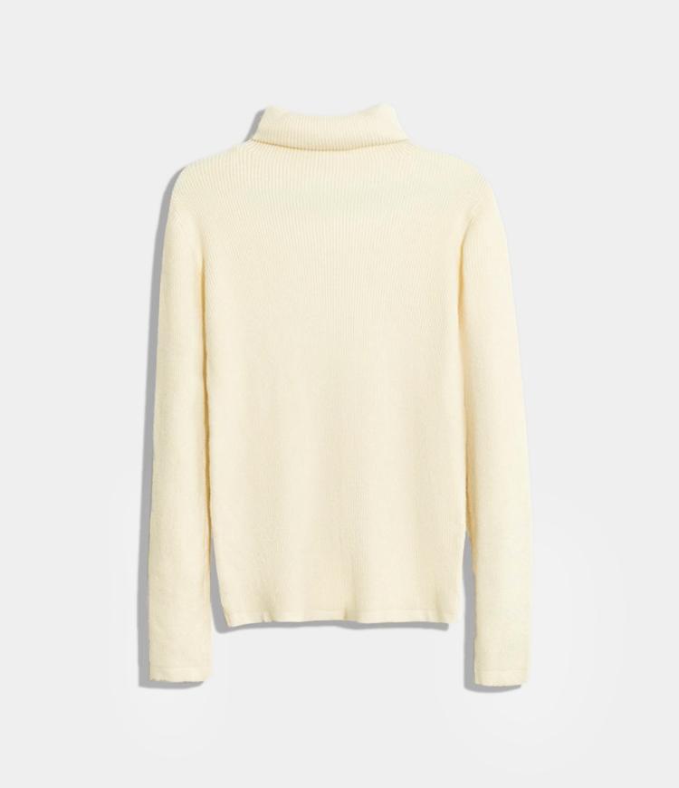 Solid Color Turtleneck Sweater