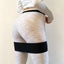 Anti Slip Resistance Bands