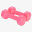 Pair Arms Shaping Household Weight Loss Dumbbells