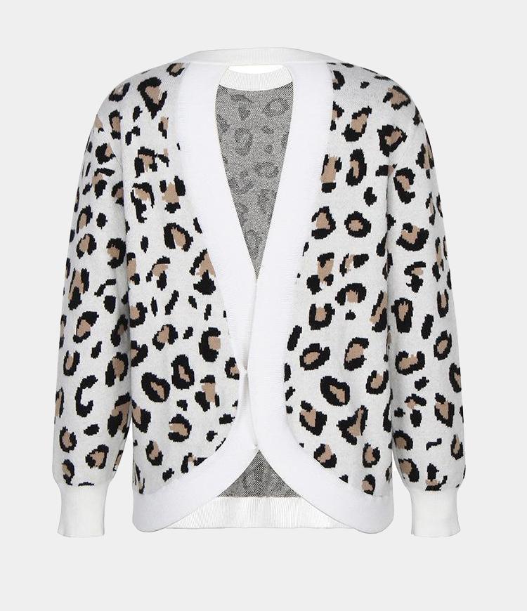 Leopard Print Sweater