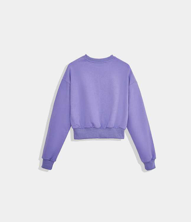 Sweatshirt Shorts Loungewear Set